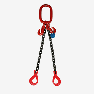 2 Legs Lifting Chain Sling - Clevis Selflock Hook - G80